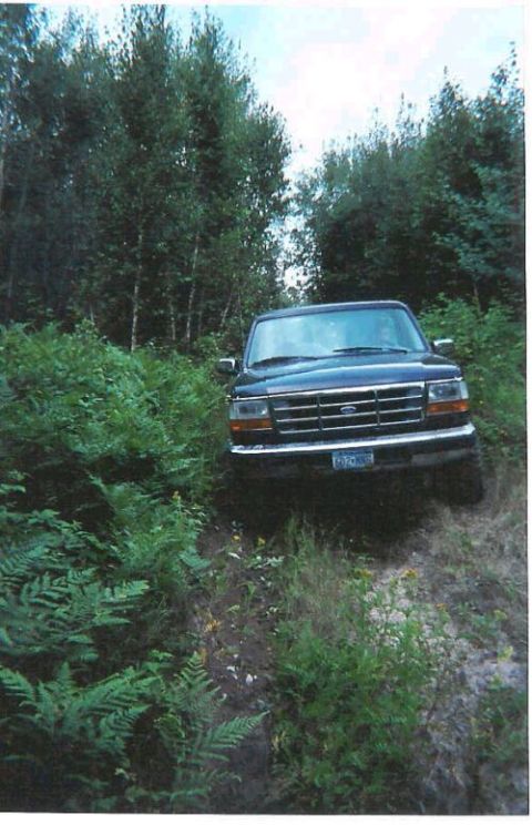 1996 Ford Bronco - Front view of a dark green Ford truck with a chrome slat grille and blue Ford oval, nosing down a narrow, fern-lined dirt trail in the wood…