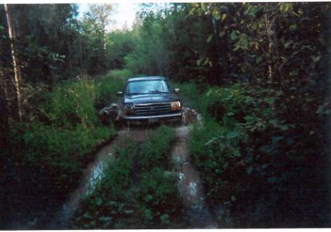 1996 Ford Bronco - A dark blue Ford truck/SUV nosing through a muddy, water-filled two-track trail hemmed in by dense green brush and trees. Scanned print pho…