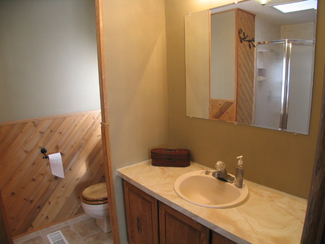 Bathroom with wood-paneled walls, toilet, sink, and shower stall