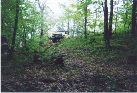 1996 Ford Bronco - A yellow and white lifted 4x4 crests a leaf-covered hill at the top of a wooded off-road trail, viewed from the bottom of the climb through…