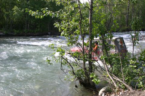 2003 Jeep TJ - A red Jeep navigates a rushing river surrounded by dense green foliage.