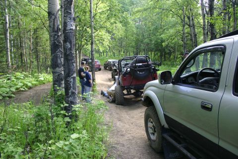 2003 Jeep TJ - Off-road vehicles travel in a convoy through a wooded area.