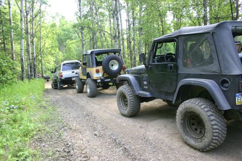 2003 Jeep TJ - A convoy of off-road vehicles travels down a wooded trail.