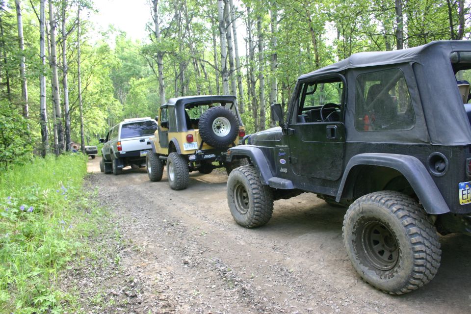 Several Jeep Wranglers and a Toyota Tacoma driving on a dirt road through a forest