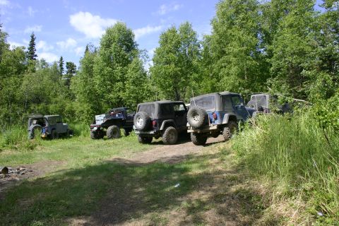 2003 Jeep TJ - A group of Jeep Wranglers are parked off-road in a clearing surrounded by dense trees and tall grass.