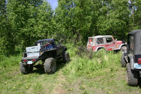 2003 Jeep TJ - Multiple Jeep Wranglers are parked off-road in a grassy area with trees in the background.
