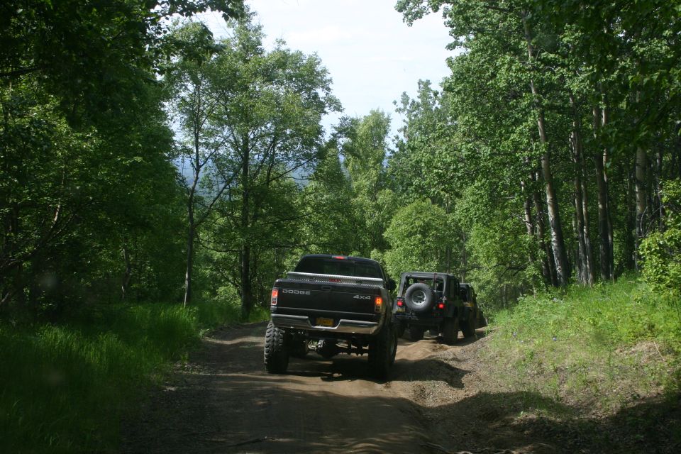 Black Dodge pickup and a Jeep Wrangler on a dirt road in a forest
