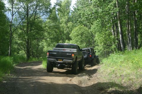 2003 Jeep TJ - Two off-road vehicles navigate a wooded trail on a sunny day.