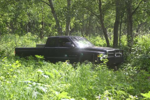 2003 Jeep TJ - A black pickup truck sits partially obscured by dense foliage in a wooded area.