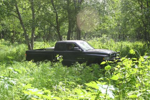 2003 Jeep TJ - A dark-colored pickup truck sits in a field of tall green grass and trees, partially hidden by vegetation.