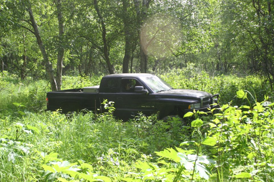 Black pickup truck partially obscured by foliage, seen from a 3/4 front angle