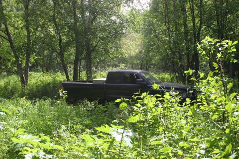2003 Jeep TJ - A black pickup truck is partially obscured by foliage in a forest setting.
