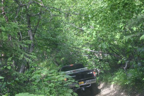 2003 Jeep TJ - A black Dodge pickup truck navigates a tight, overgrown trail, its 4x4 capability likely being put to use.