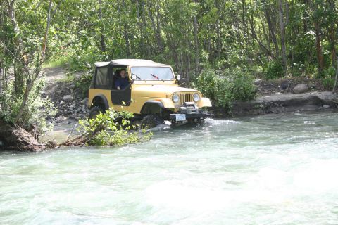 2003 Jeep TJ - A yellow Jeep Wrangler navigates a rocky riverbed surrounded by dense green foliage.