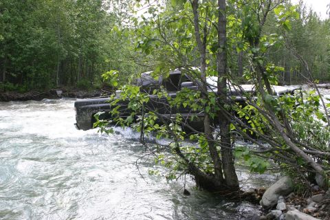 2003 Jeep TJ - A black pickup truck is stuck in a river, surrounded by trees and rushing water.