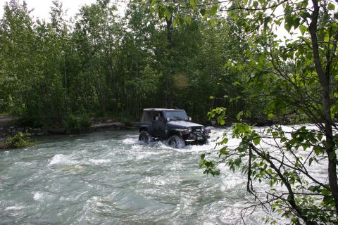 2003 Jeep TJ - A dark gray Jeep Wrangler navigates a rocky riverbed surrounded by lush green foliage.