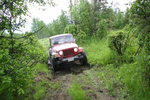 2003 Jeep TJ - A red Jeep TJ navigates a muddy off-road trail surrounded by lush green foliage.