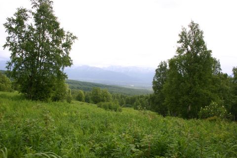 2003 Jeep TJ - A scenic view of a valley with lush green vegetation and distant mountains.