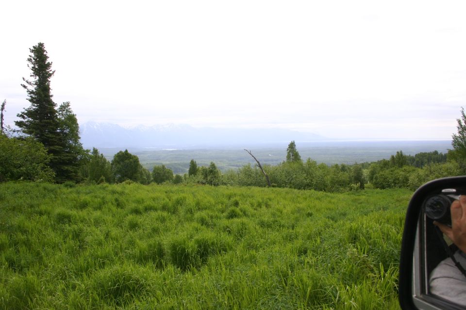View from a vehicle looking out over a grassy field towards distant mountains and a hazy sky. A side mirror is visible on the right