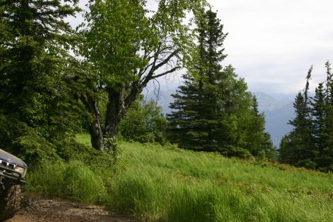 2003 Jeep TJ - A blue SUV is partially visible on a dirt road, surrounded by lush green grass and trees, with mountains in the distance.