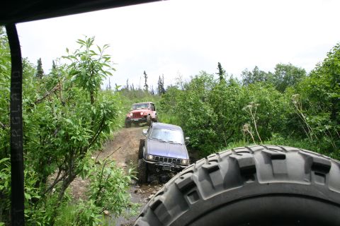 2003 Jeep TJ - Two Jeeps navigate a challenging muddy trail surrounded by lush green foliage.