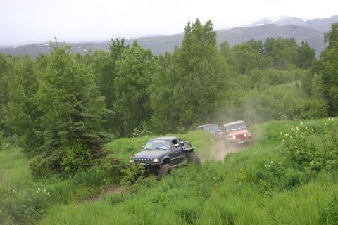 2003 Jeep TJ - Three off-road vehicles navigate a dusty trail through a grassy, wooded area.