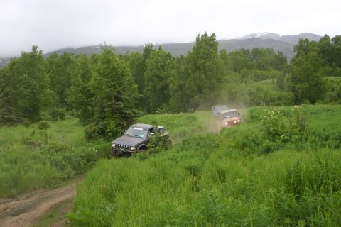 2003 Jeep TJ - Multiple off-road vehicles navigate a grassy trail, kicking up dust as they drive through a scenic, wooded landscape.