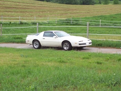 1995 Ford Probe - A white coupe with a black roof sits on a dirt road in a grassy field.