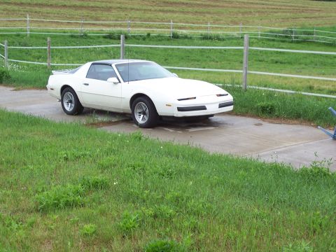 1995 Ford Probe - This white 1982 Pontiac Firebird coupe is parked on a concrete pad in a grassy area.