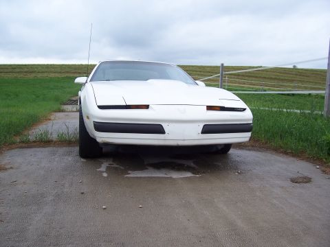 1995 Ford Probe - White Pontiac Firebird with a cowl hood parked on a wet asphalt surface.