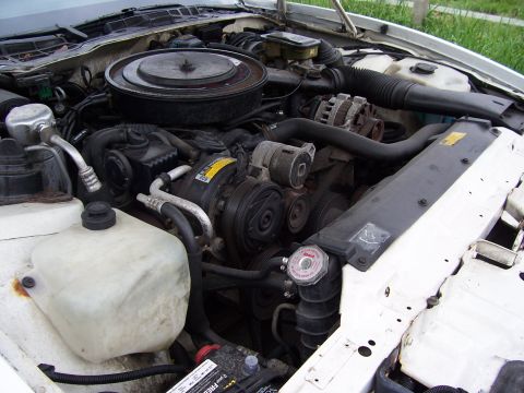 1995 Ford Probe photo