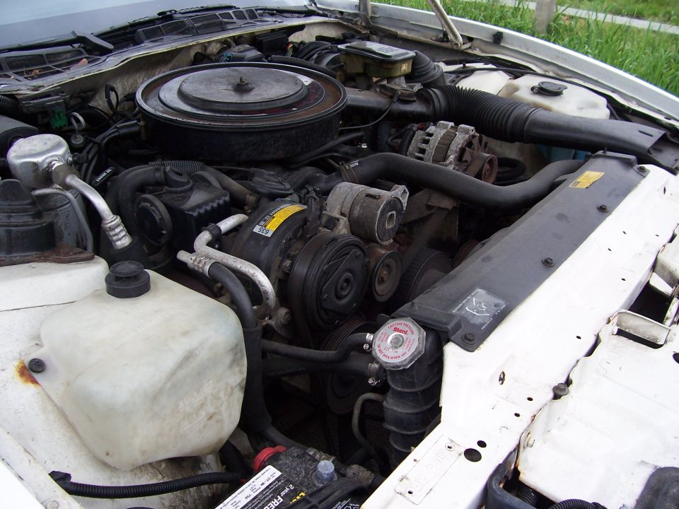 engine bay with hoses, belts, and radiator visible