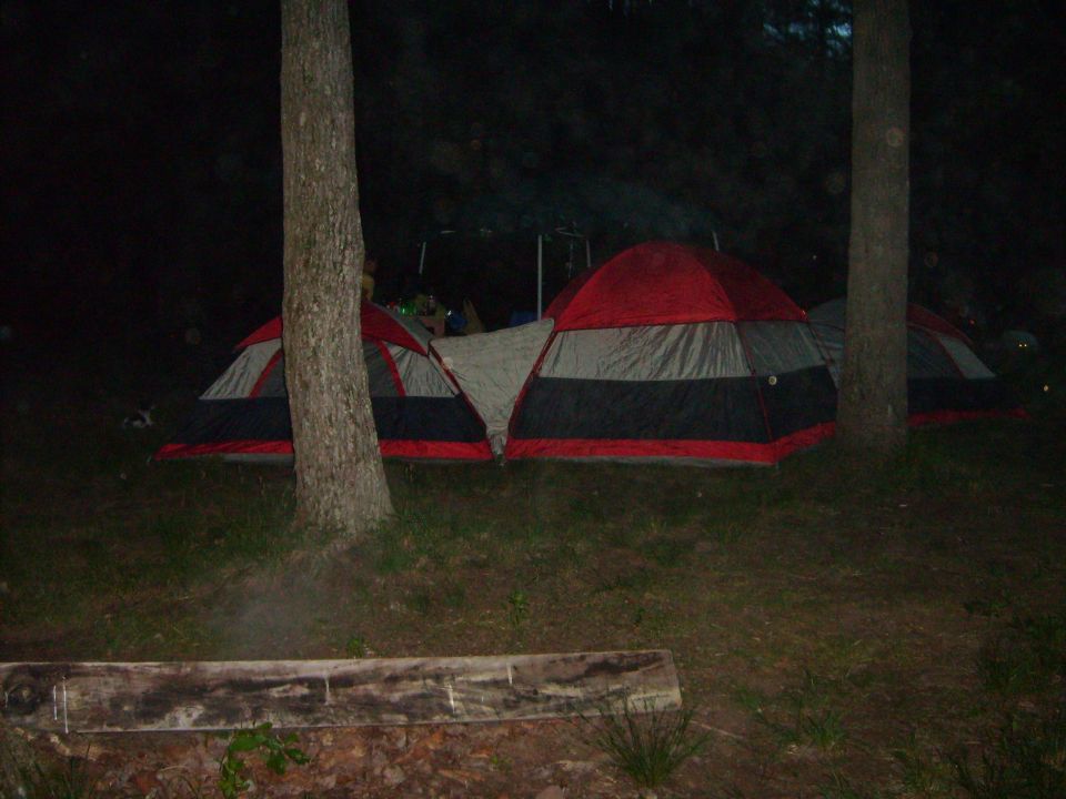 Dome tents set up at a wooded campsite at night