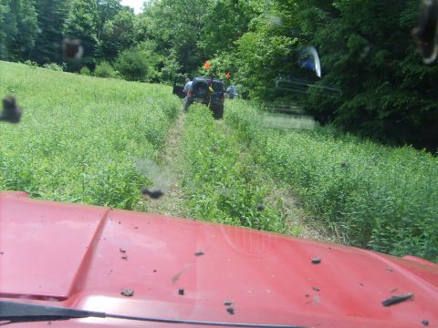 1995 Ford Bronco - View from inside a red vehicle as two other off-road vehicles navigate a grassy path through a wooded area.
