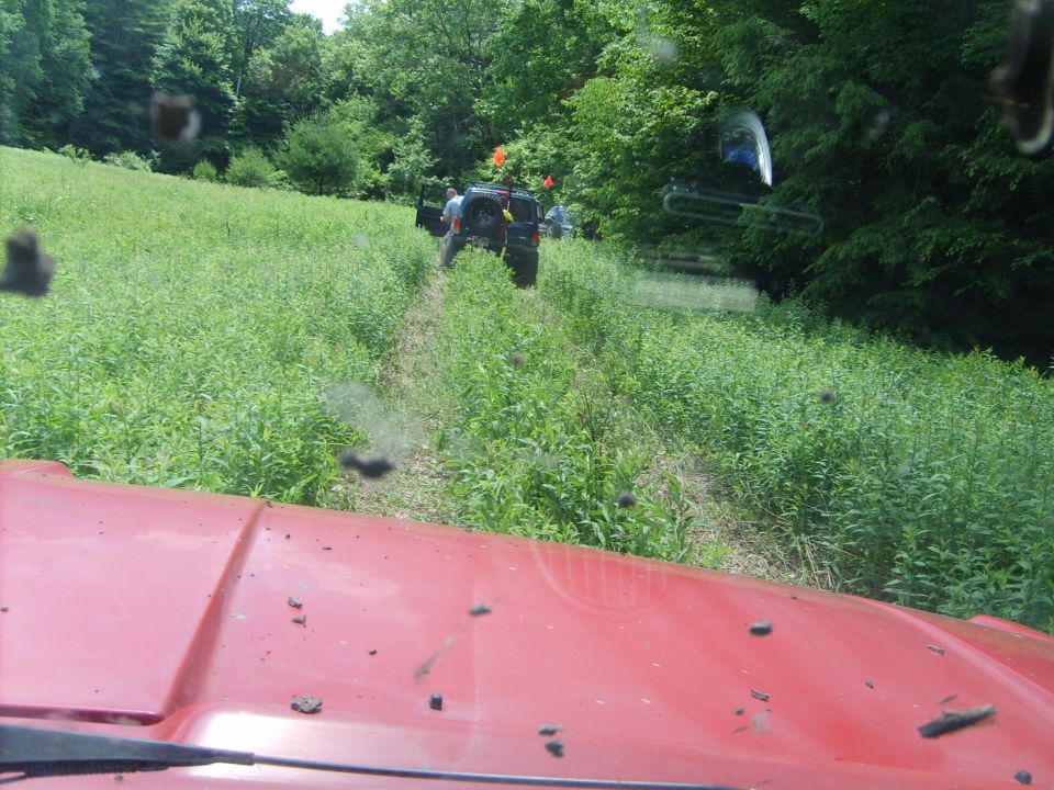 Red vehicle hood in foreground, two off-road vehicles in grassy field