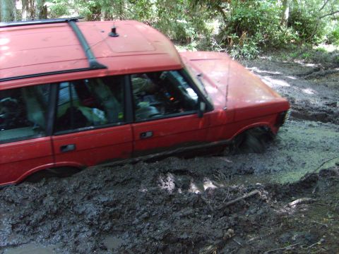 1995 Ford Bronco - we were stuck lol