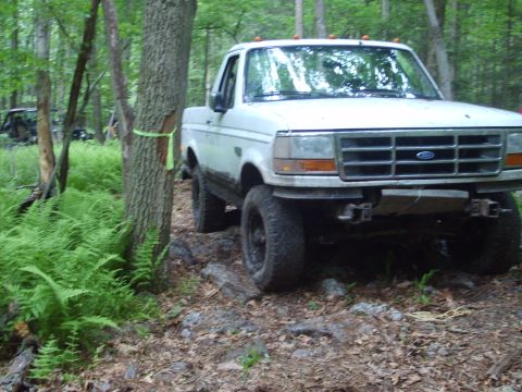 1995 Ford Bronco - A white Ford truck navigates a challenging off-road course surrounded by dense forest and ferns.