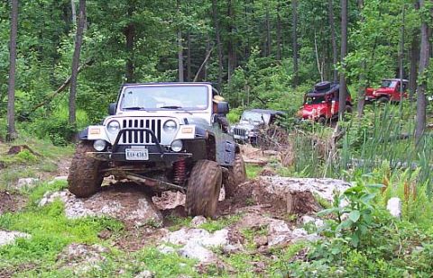 2003 Jeep Wrangler - Multiple Jeeps tackle an off-road trail through a forest.