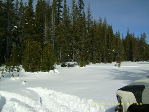 1986 Ford Bronco - A 1986 Ford Bronco navigates a snowy landscape surrounded by pine trees.