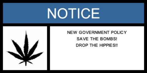 1995 Ford Bronco - Document displays a notice with a cannabis leaf and controversial text about government policy.
