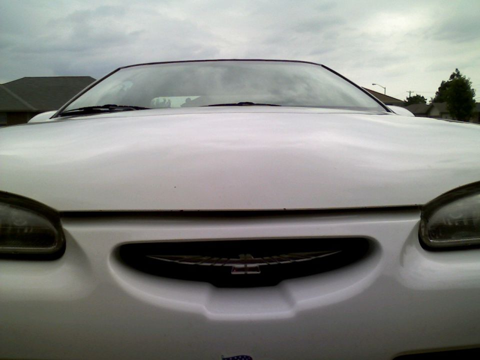 1995 Ford Thunderbird front grille with bird emblem