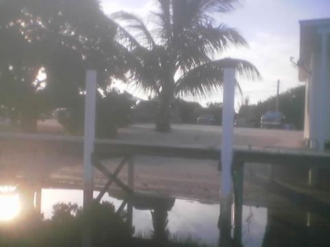 1989 Ford Bronco - Two vehicles are visible in a tropical setting with a palm tree and a building.