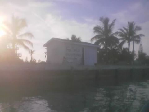 1989 Ford Bronco - A building with text is visible among palm trees, with the sun low in the sky.