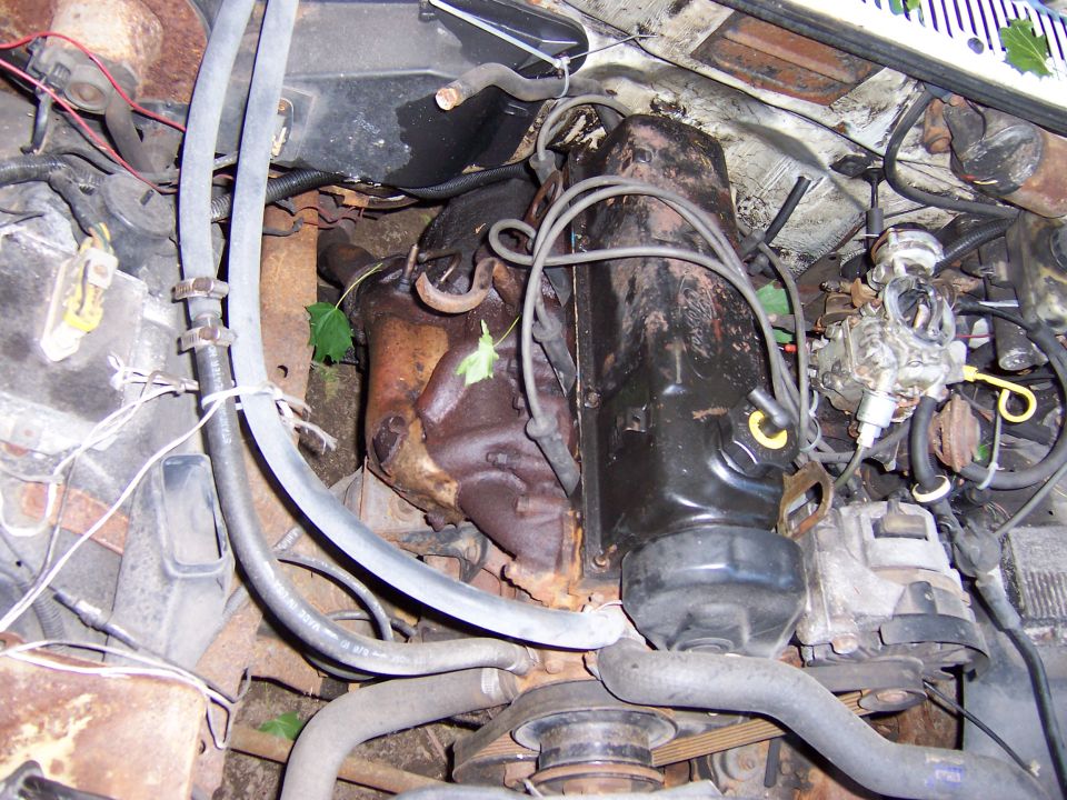 Engine bay with hoses and engine block