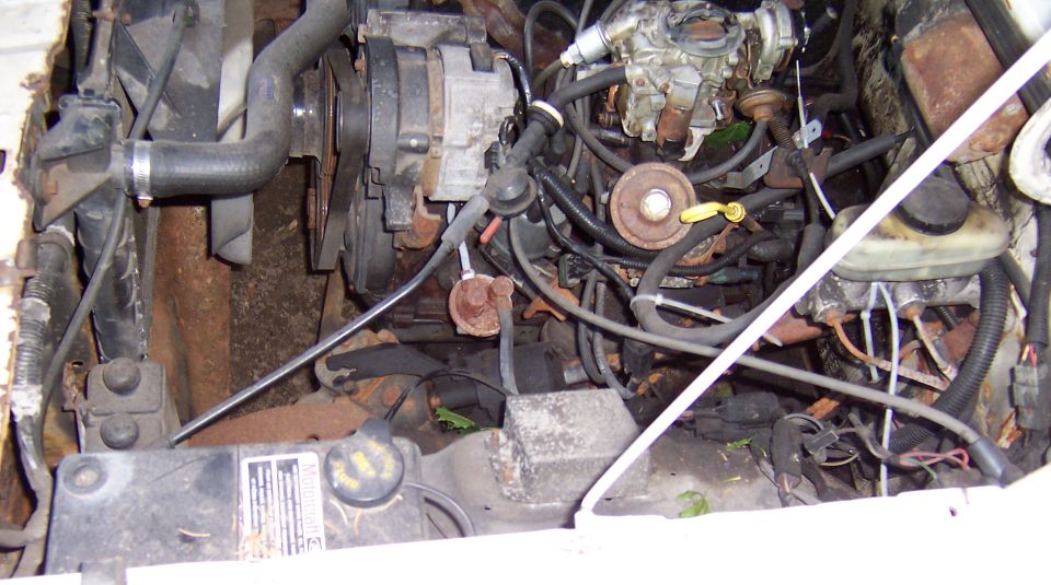 engine bay with hoses, wires, alternator, and carburetor visible