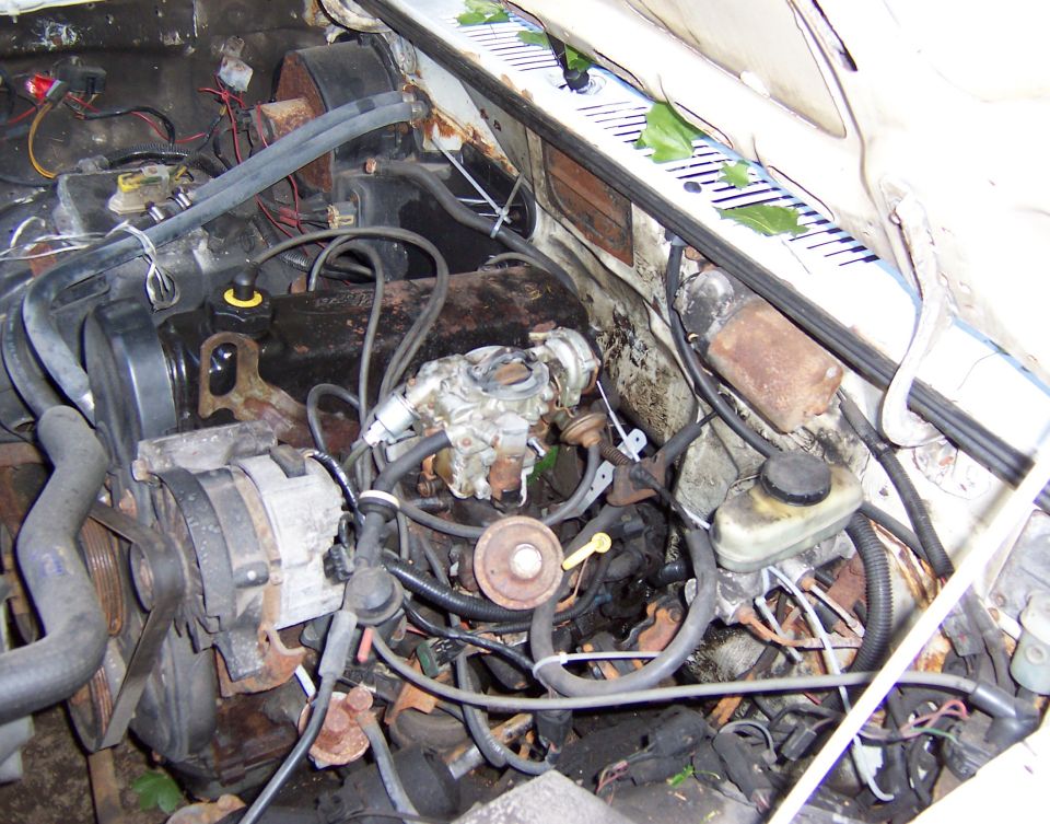 Engine bay with carburetor, alternator, and brake fluid reservoir. Some leaves are visible on the cowl