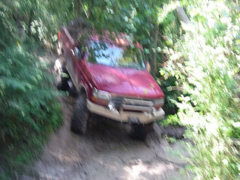 1995 Ford Bronco - This 1995 Ford Bronco tackles a challenging off-road path through dense foliage.