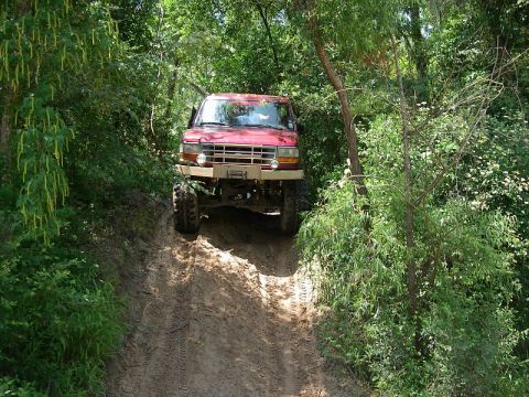 1995 Ford Bronco - A lifted red Ford truck with a bare front bumper and exposed winch crests the top of a steep rutted dirt hill in dense green woods. Oversiz…