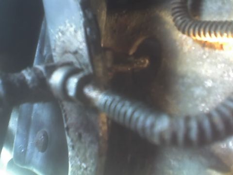 1991 Ford Bronco - goes thru this piece