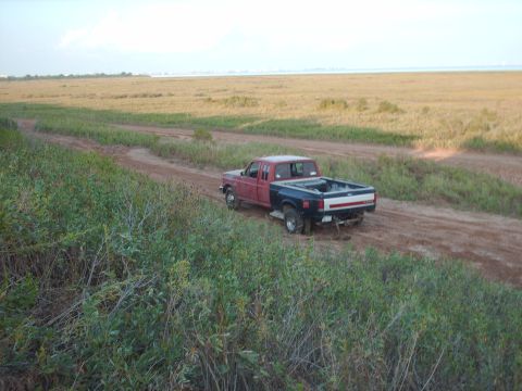 1982 Ford Bronco - Pickup truck with a red cab and blue bed drives on a dirt road through a grassy field.